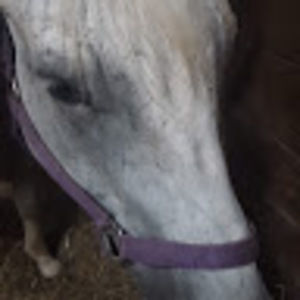 Meet your Posher, Nadia